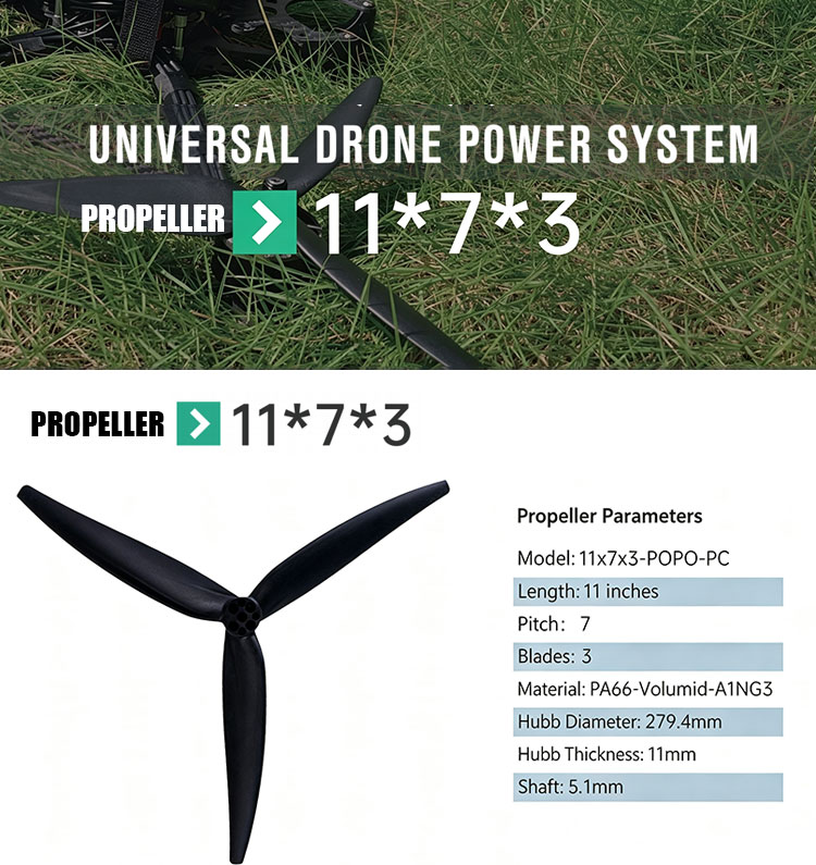 11x7x3-POPO-PC_01.jpg